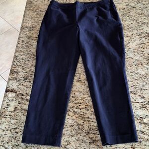 Talbots Petite Chatham Ankle Pants with Tummy Control Panel